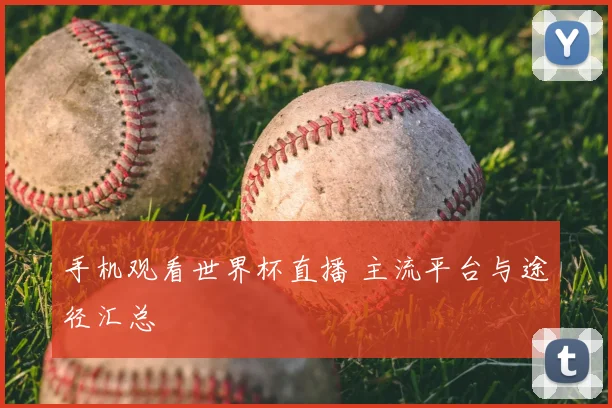 手机观看世界杯直播 主流平台与途径汇总