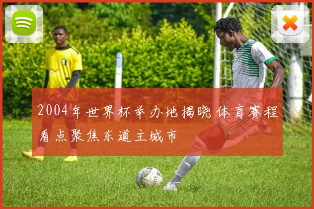 2004年世界杯举办地揭晓 体育赛程看点聚焦东道主城市