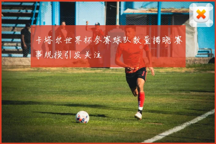 卡塔尔世界杯参赛球队数量揭晓 赛事规模引发关注