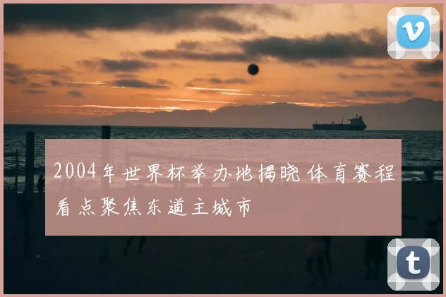 2004年世界杯举办地揭晓 体育赛程看点聚焦东道主城市