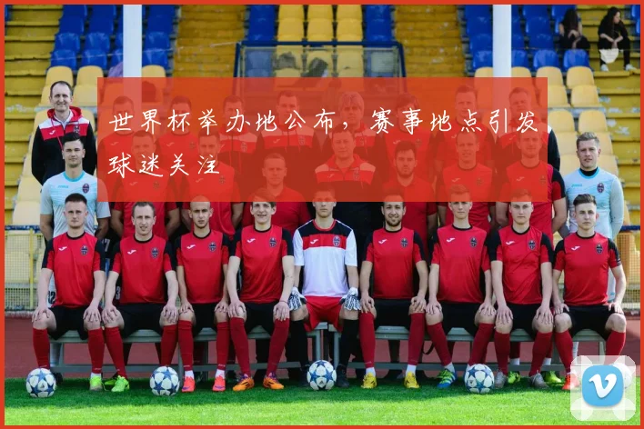 世界杯举办地公布，赛事地点引发球迷关注